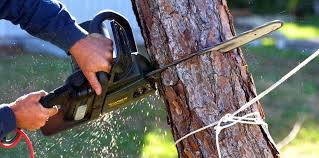 Best Emergency Tree Removal  in Sharpsville, PA