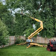 Best Storm Damage Tree Cleanup  in Sharpsville, PA