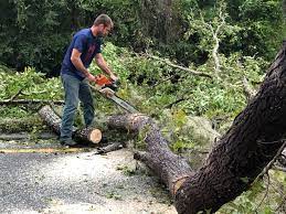 Best Hazardous Tree Removal  in Sharpsville, PA