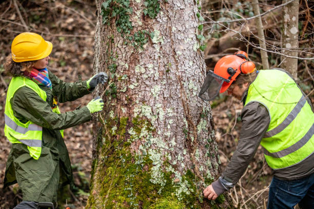 Best Tree Preservation Services  in Sharpsville, PA